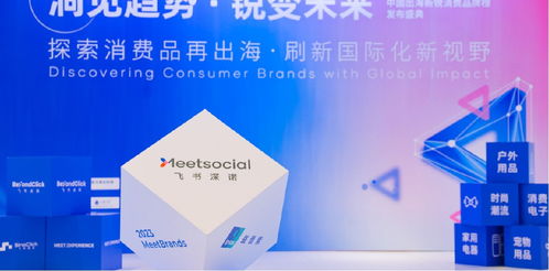 新品類、新渠道、新技術 飛書深諾沈晨崗談出海品牌如何借數字技術服務開啟新故事